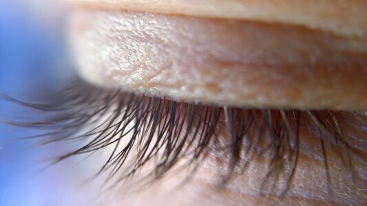 Eyelashes close up eye macro photo