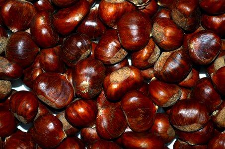 Autumn roasted chestnuts brown