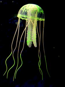 Sea depth underwater world