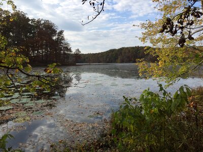 Fall autumn