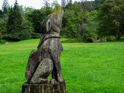 Wood animal comanche
