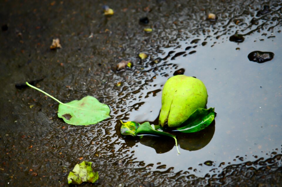 Water reflection puddles