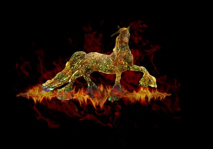 Flame black horse