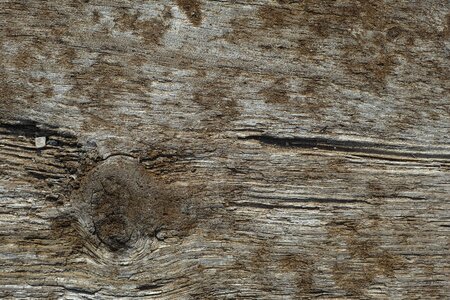 Wood wood-fibre boards parquet