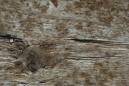 Wood wood-fibre boards parquet photo