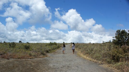 Friends nature landscape photo