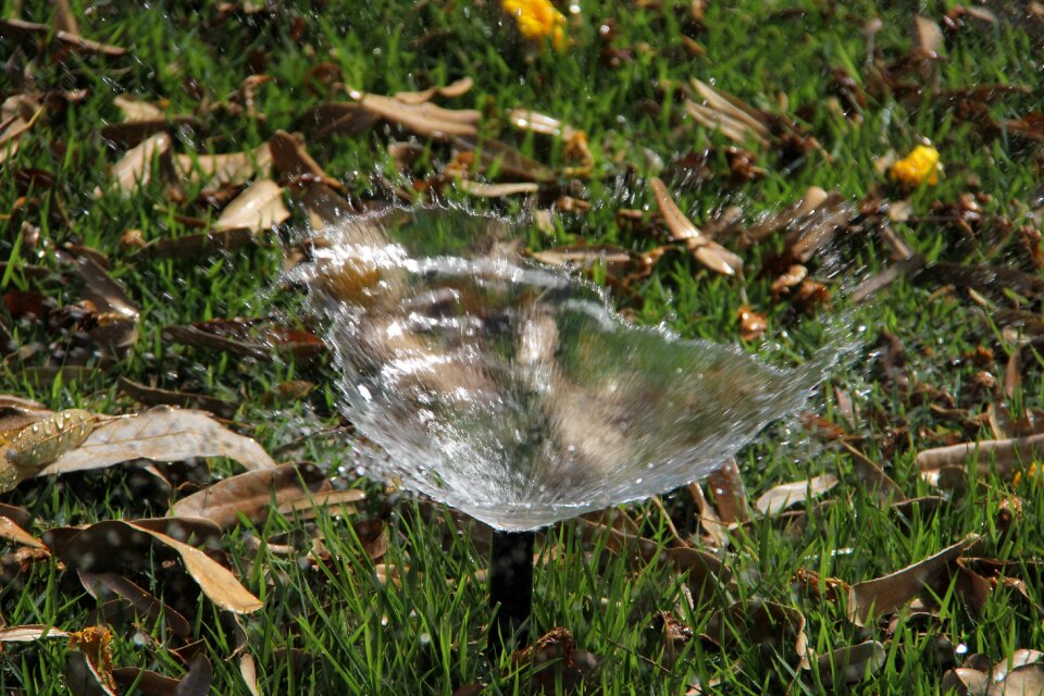 Irrigator garden water