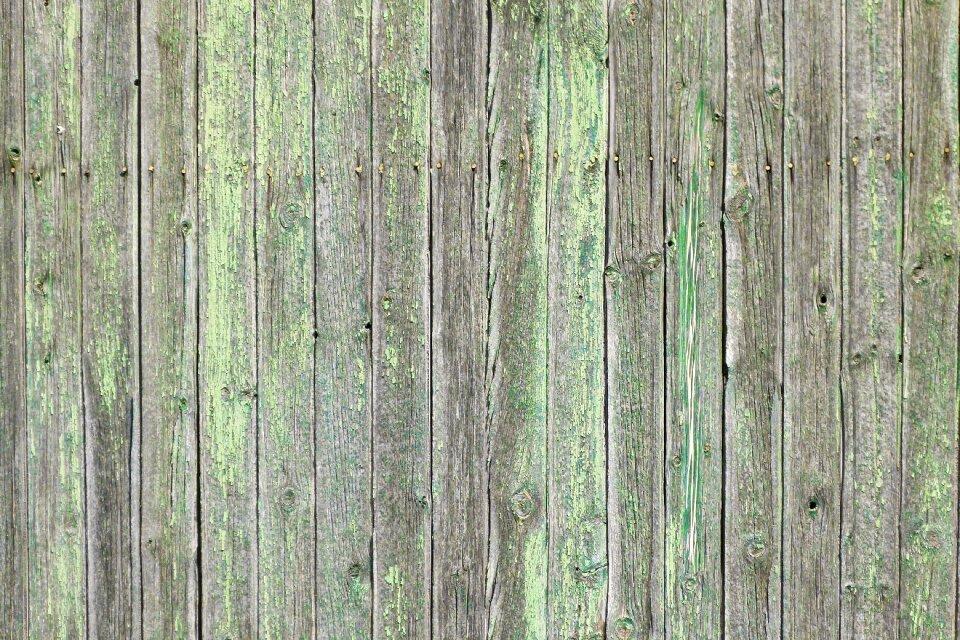 Old wood green peeling paint photo