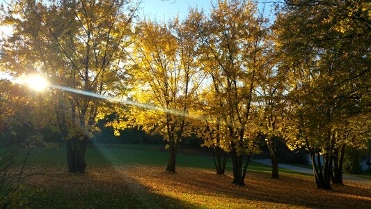 Bank walk fall foliage photo