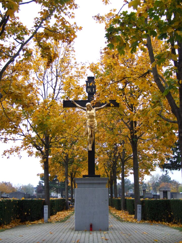 Graves mood autumn mood