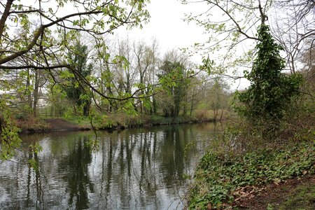 River trees fresh air