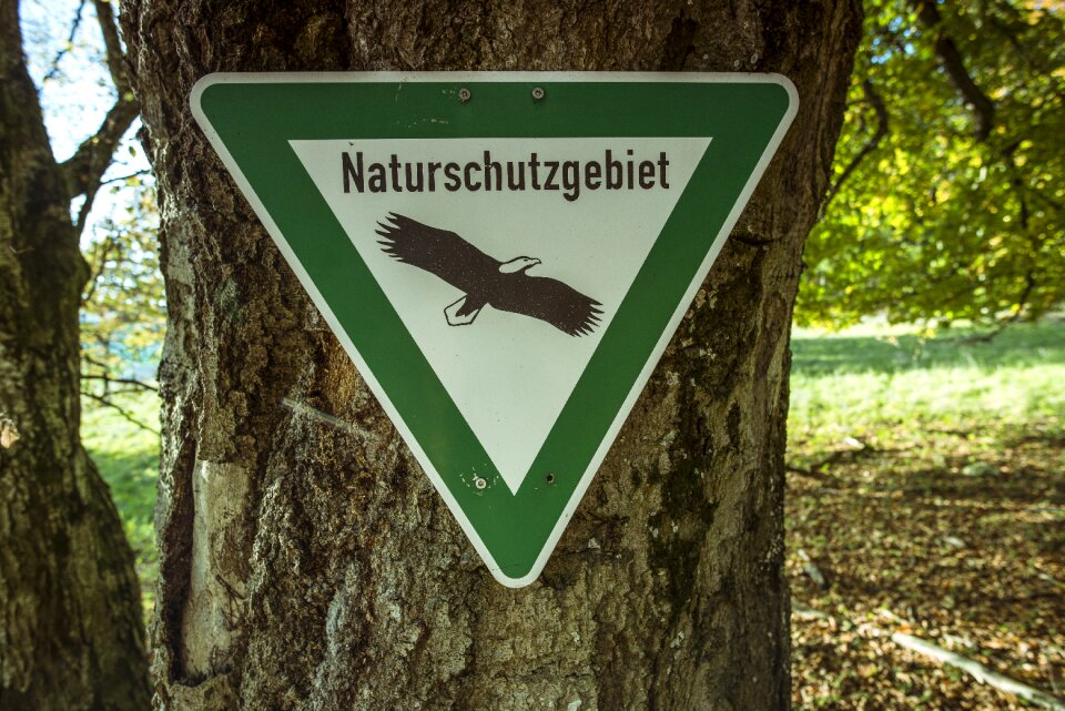 Nature reserve shield forest