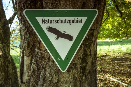 Nature reserve shield forest