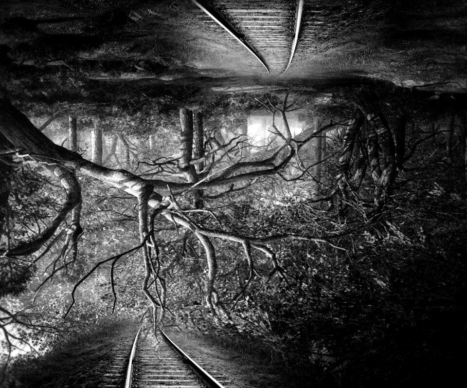 Landscape forest rails