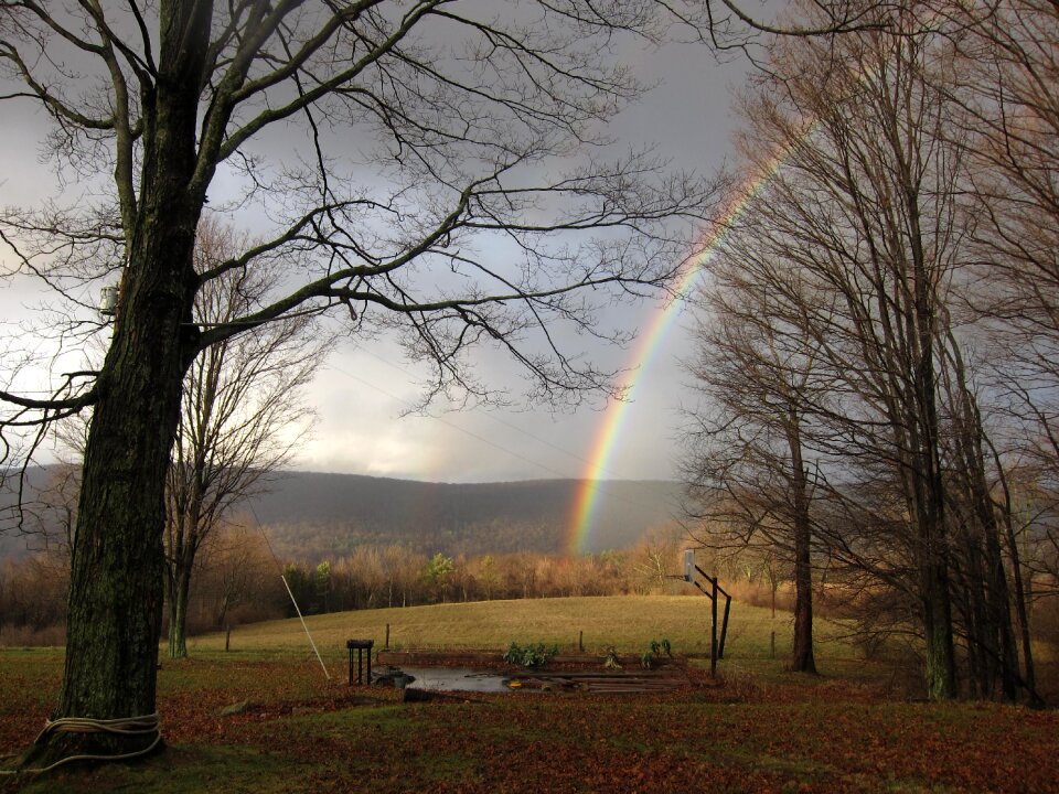 Brown rain brown rainbow