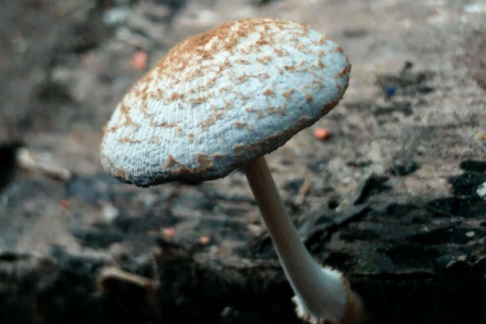 Humid nature outdoors