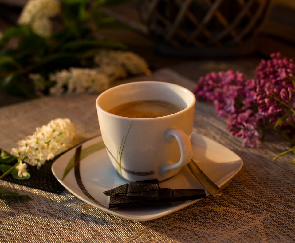 Coffee flower chocolate