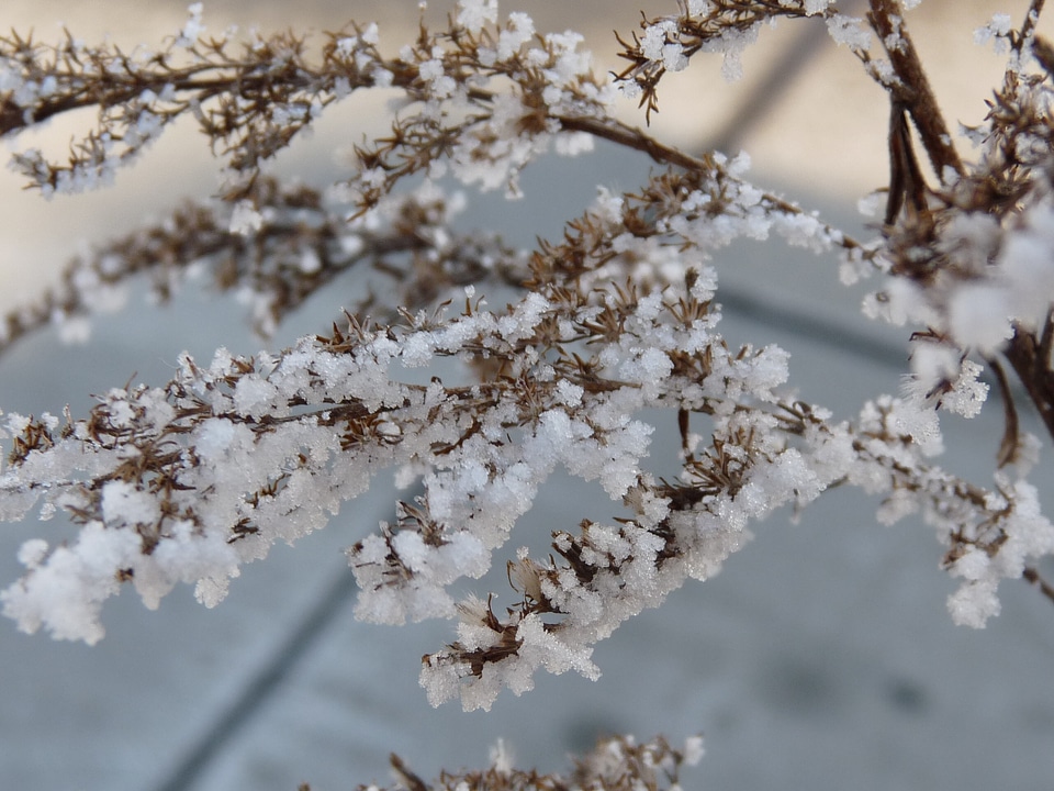 Winter snow ice