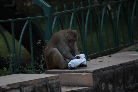 Eating food