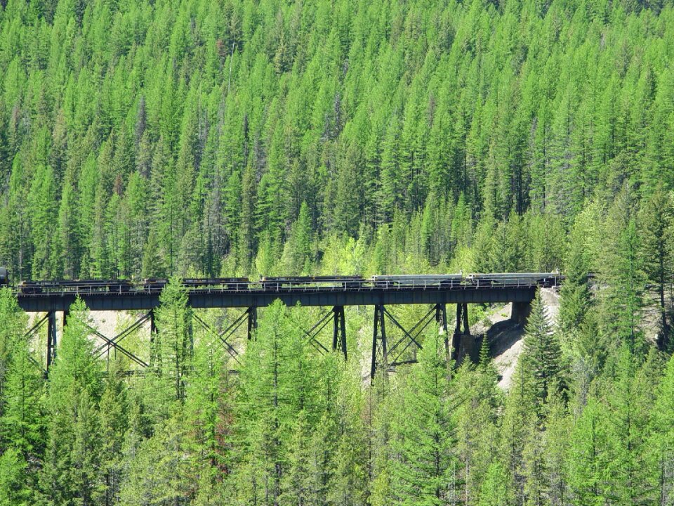 Trees green train