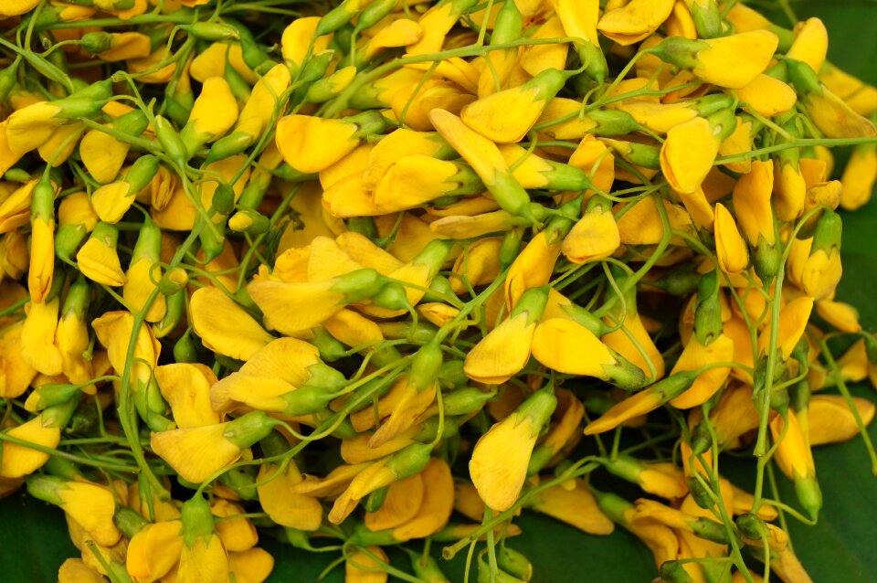 The floating season vietnam food