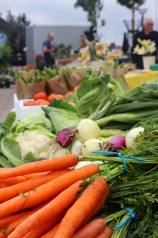 Carrots summer cabbage photo