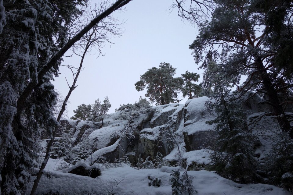 Rocks landscape forest