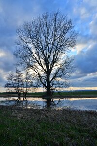 Nature autumn sky photo