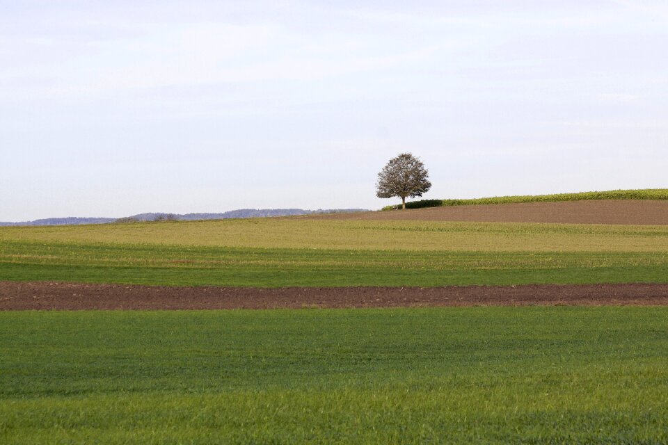 Nature sky field