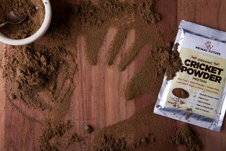 Insect protein cricket powder