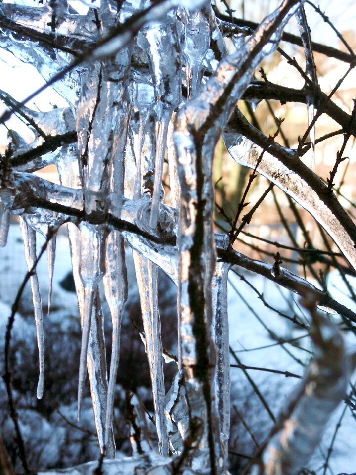 Cold frozen wintry