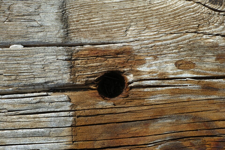 Wood wood-fibre boards parque