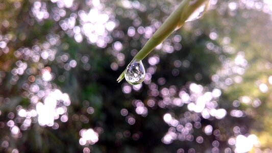 Green mobile photography