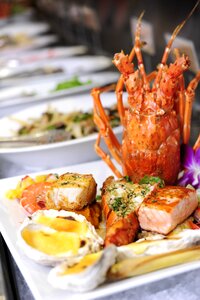 Seafood lobster photo