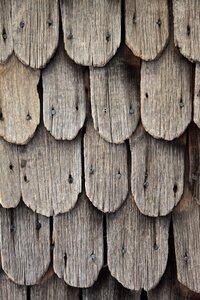 Structure colors of nature wood