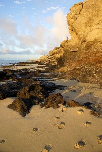 Sea sand wild coast photo