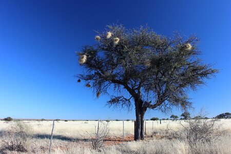Namibia sky landscape