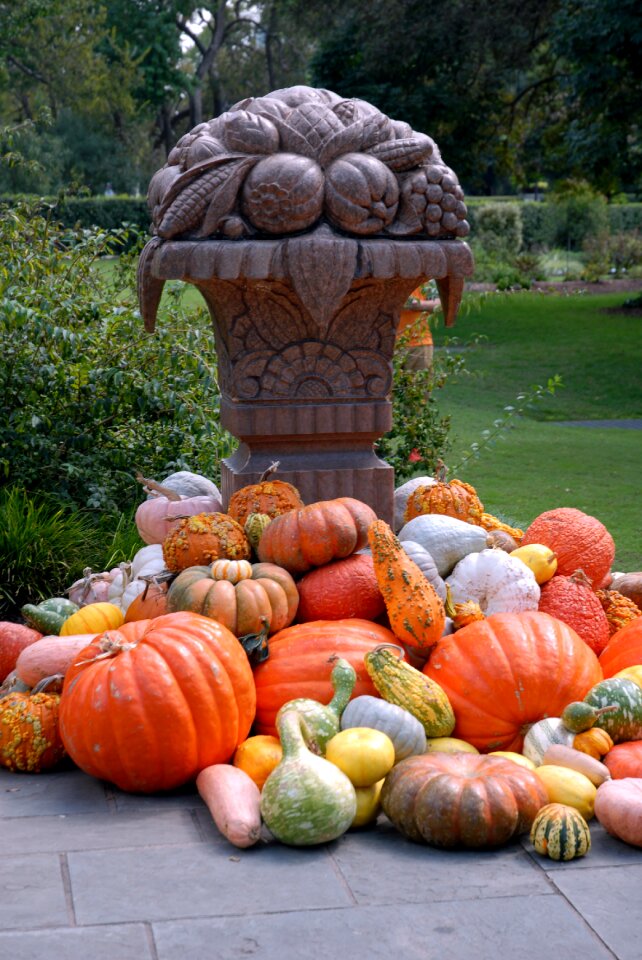 Autumn orange fall