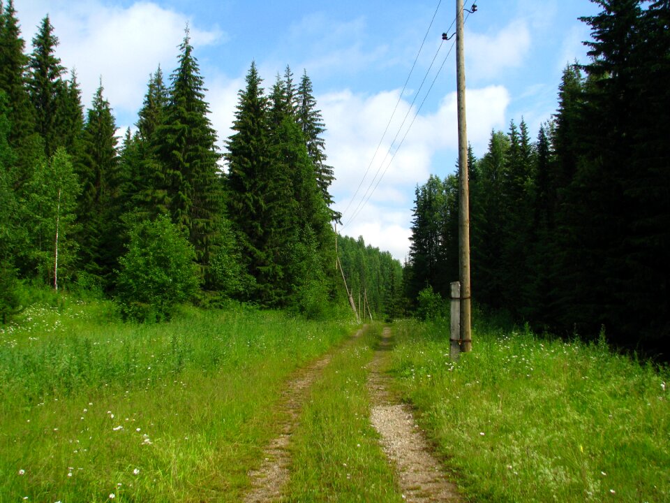 The way landscape nature