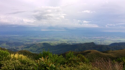 Nature vista star saw