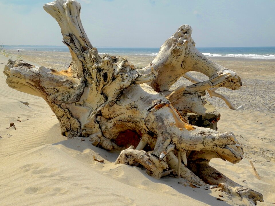 Beach nature landscape