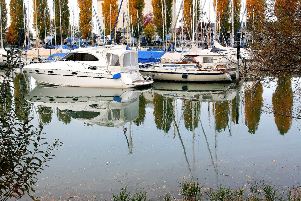 Lake autumn morning