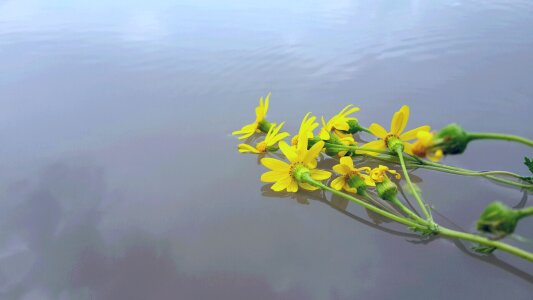 Water art