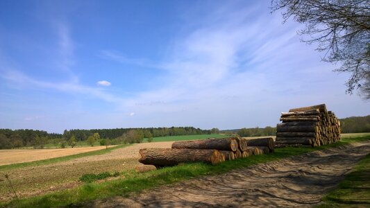 Wood landscape mood