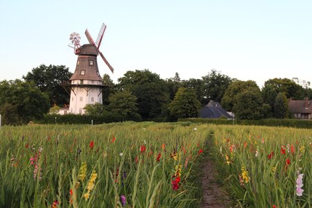 Windmill cornfield agriculture photo
