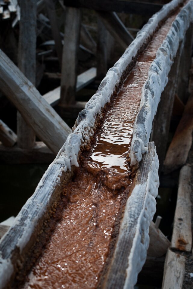 Water salt wood