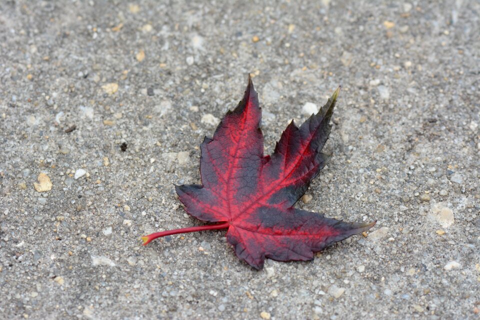 Red concrete