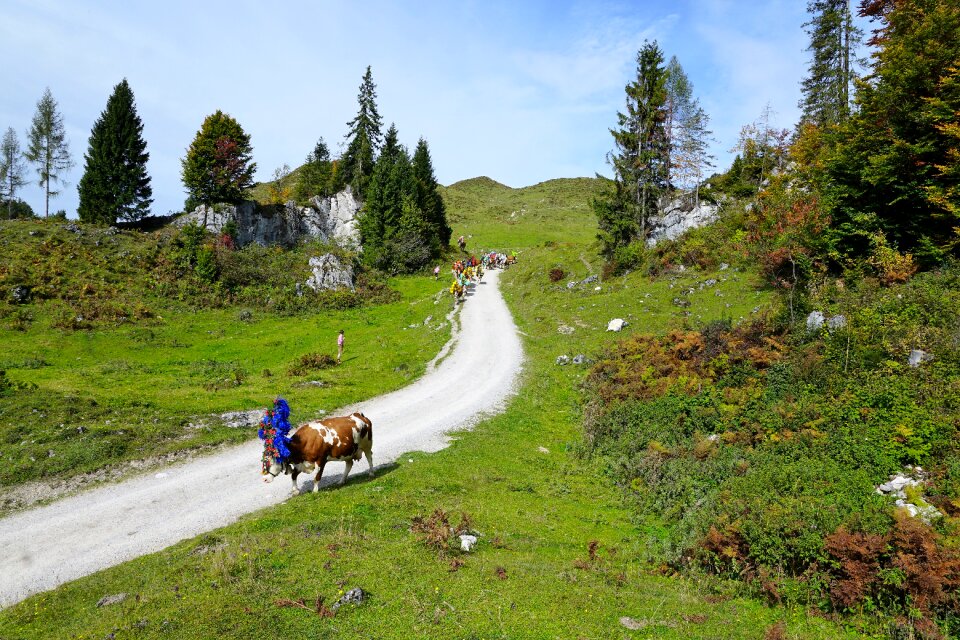 Emperor mountain hill photo