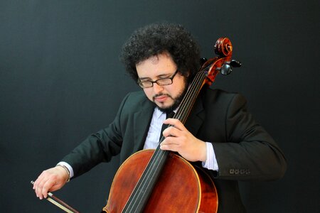 Violinist musician music