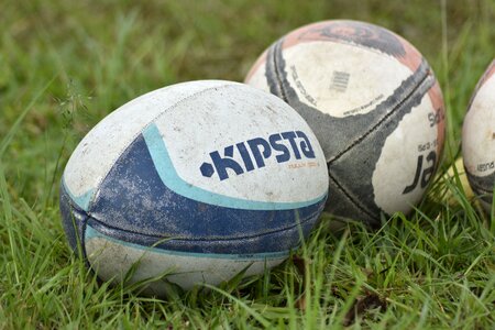 Field grass sport